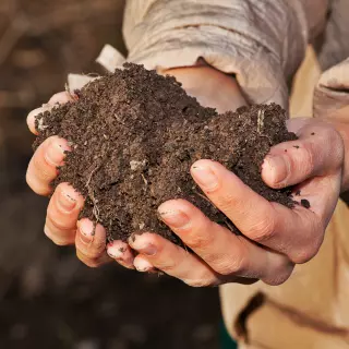 3 zabiegi pielęgnacyjne, które jesienią poprawiają żyzność gleby